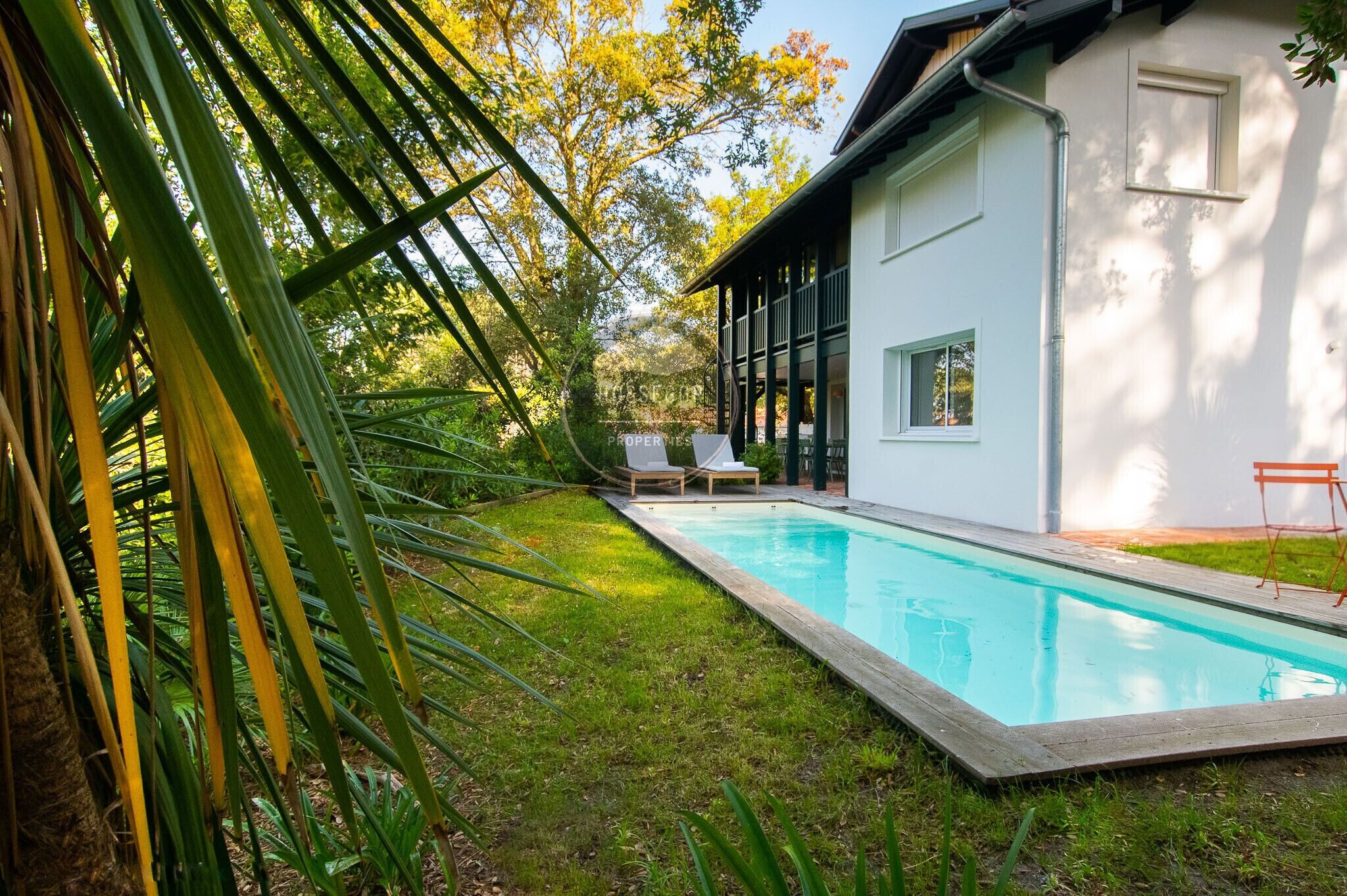 Une maison moderne dotée d’une piscine, d’un patio couvert et d’une pelouse bien entretenue.