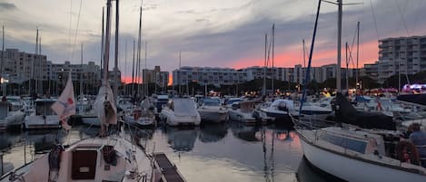 A marina with multiple boats docked, a wooden dock, and buildings in the background.