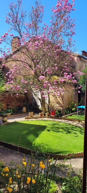 A garden with a lawn, a brick wall, and a tree with pink flowers. - The 3-Star "Gîte de la Halle" (Beaumont-de-Lomagne)