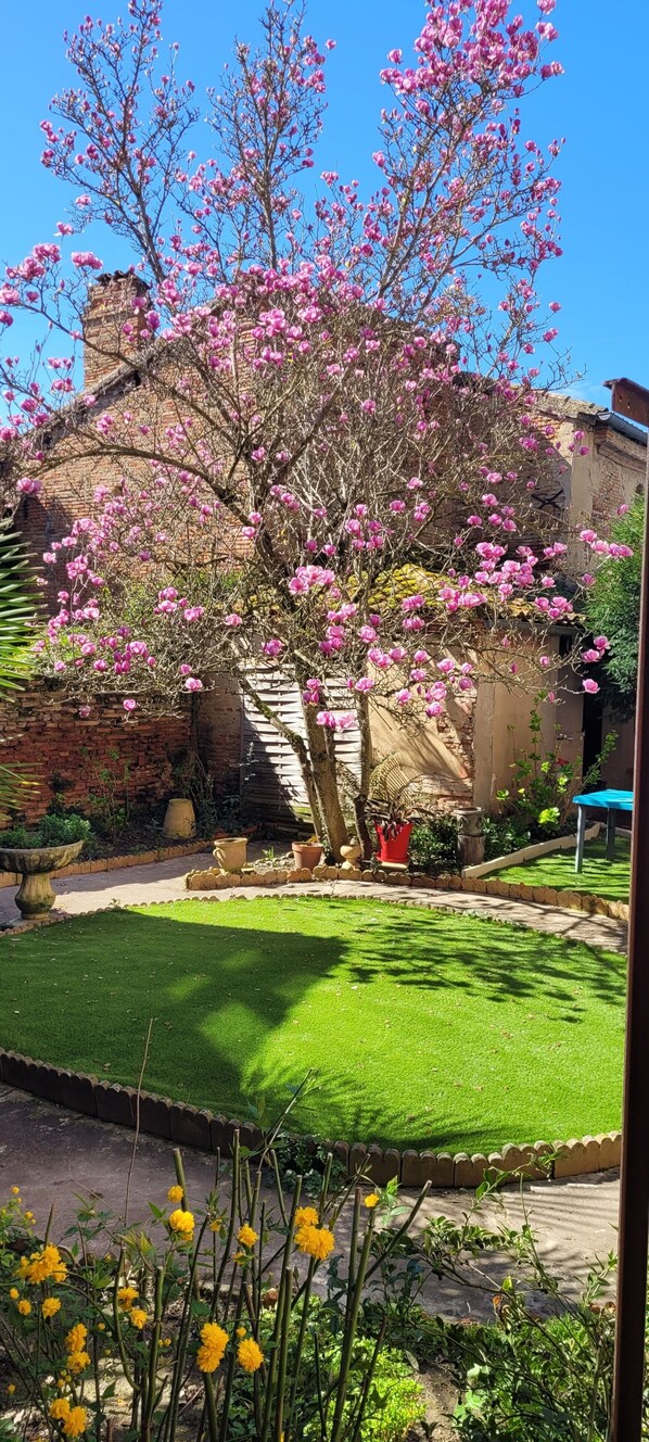Un jardin avec une pelouse, un mur de briques et un arbre aux fleurs roses.