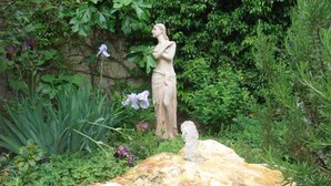 A garden with a statue, lush greenery, and a large rock. - Apartment Marlies in Freiburg (Freiburg im Breisgau)