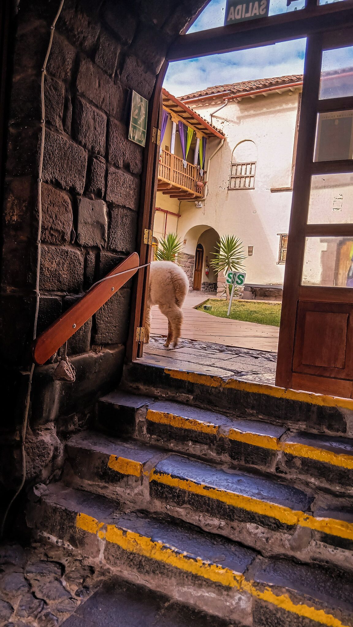 Un perro está de pie sobre una escalera de piedra que lleva a la entrada de un edificio.