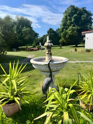 Ein Garten mit Springbrunnen, Blumentöpfen und einem Weg.
