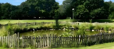 A grassy area with a wooden fence, a pond, and trees in the background.