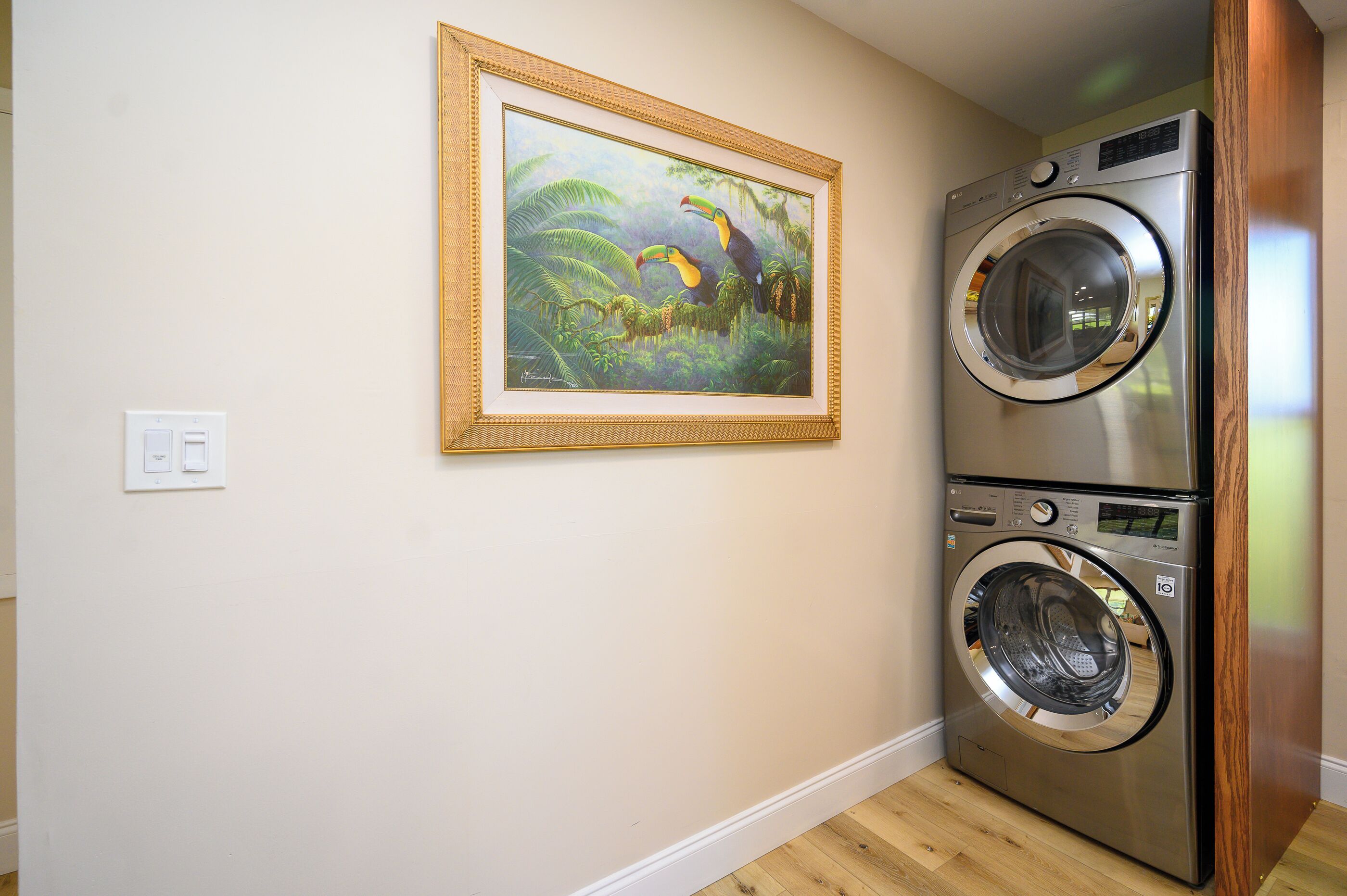 A laundry room with a double stainless steel washer and dryer, a framed painting of a jungle scene, and a light switch on the wall.