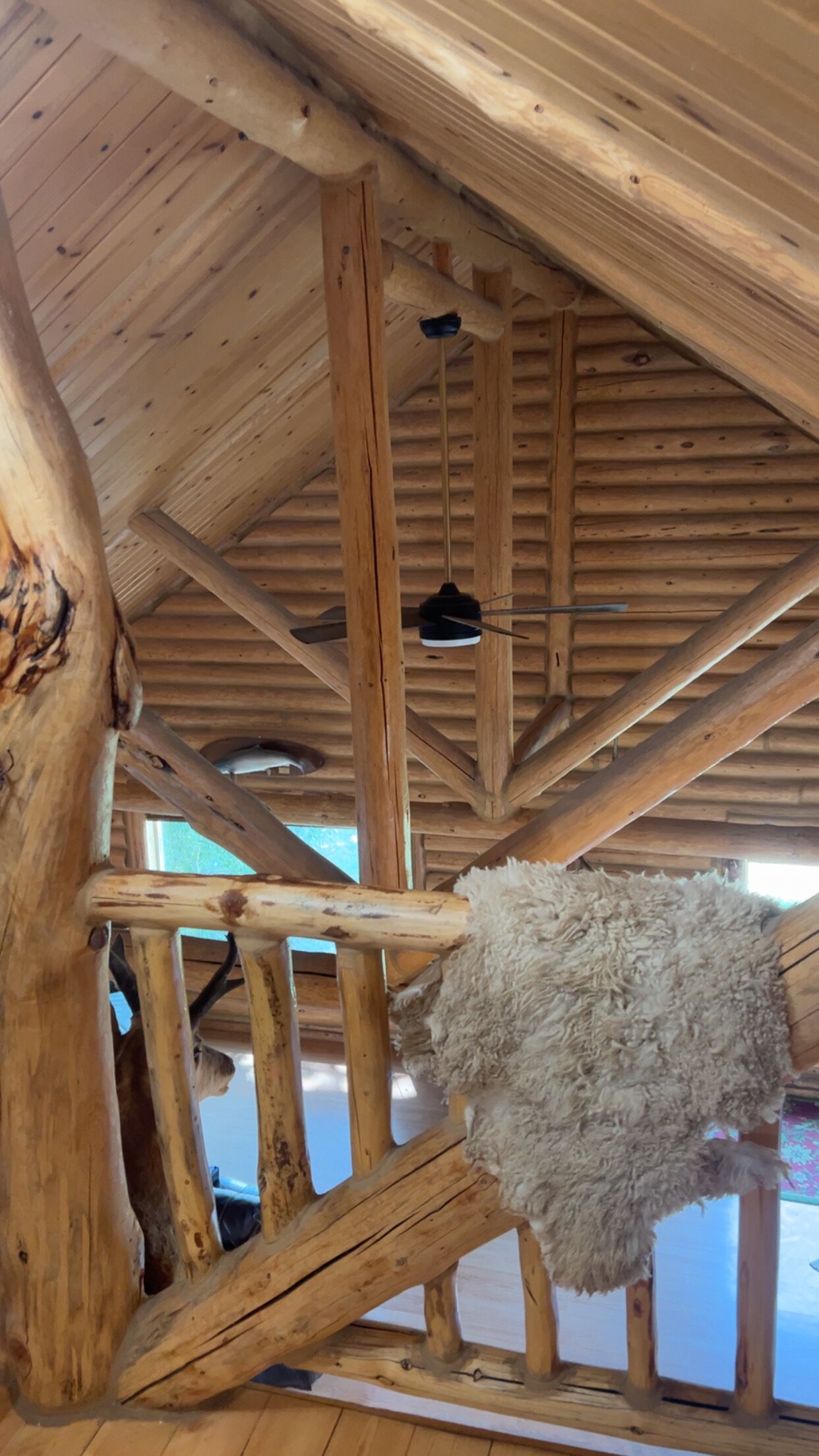 A rustic interior with wooden beams and a hanging fur rug.