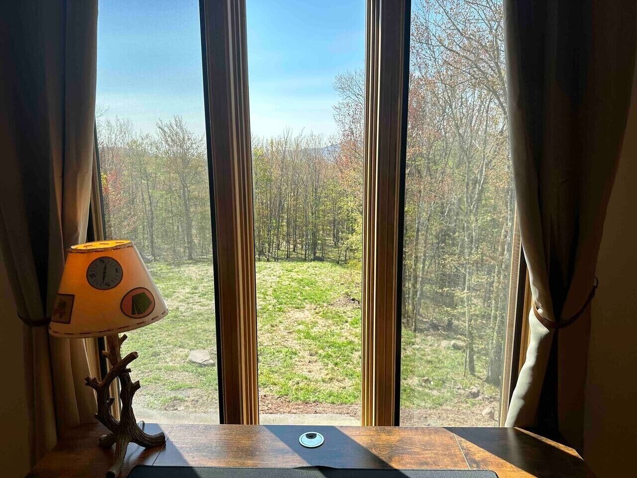 A window with curtains, a lamp, and a view of a forested area.