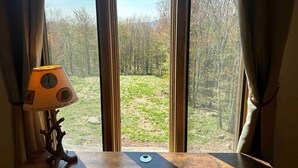 A window with curtains, a lamp, and a view of a forested area.
