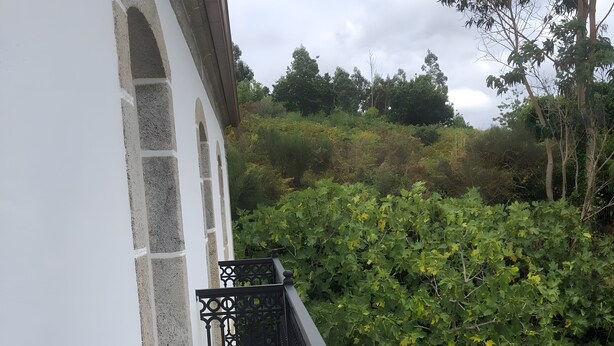 Een balkon met een zwart metalen hekwerk, een wit gebouw met stenen details en een weelderige groene haag op de achtergrond.