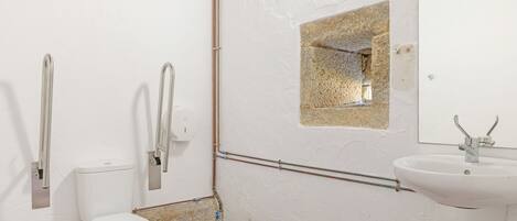 A bathroom with a toilet, a sink, and a mirror.