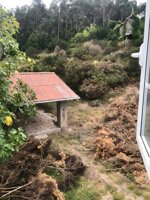 Um edifício rústico com telhado de metal corrugado, cercado por vegetação densa e um caminho de terra.