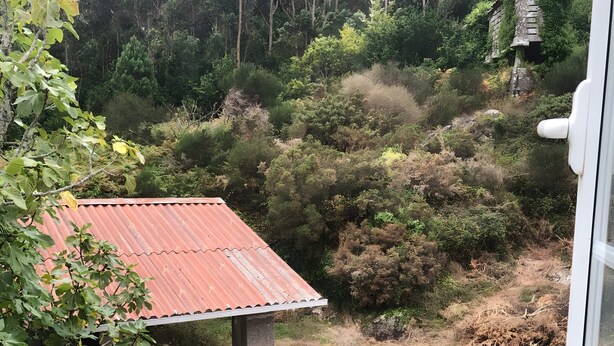 A rustic building with a corrugated metal roof, surrounded by dense vegetation and a dirt path. - Room 'Habitación Selvita' with Mountain View, Shared Terrace and Wi-Fi (Moraime)