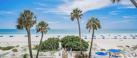 A beachside view with palm trees, a pathway leading to beach umbrellas, and a clear sky.