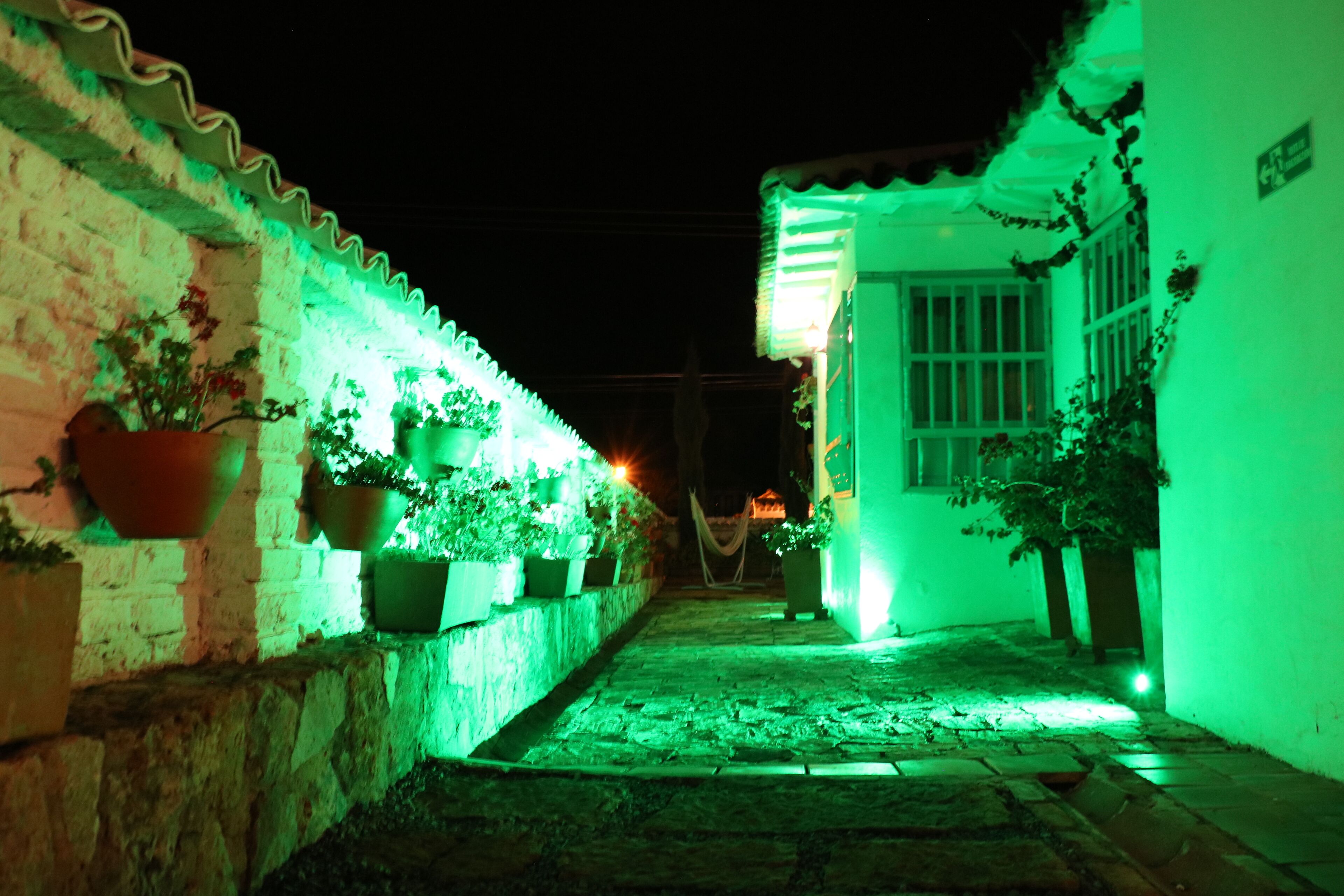 A narrow alleyway with a brick wall on one side and a building on the other, both illuminated by green lighting.