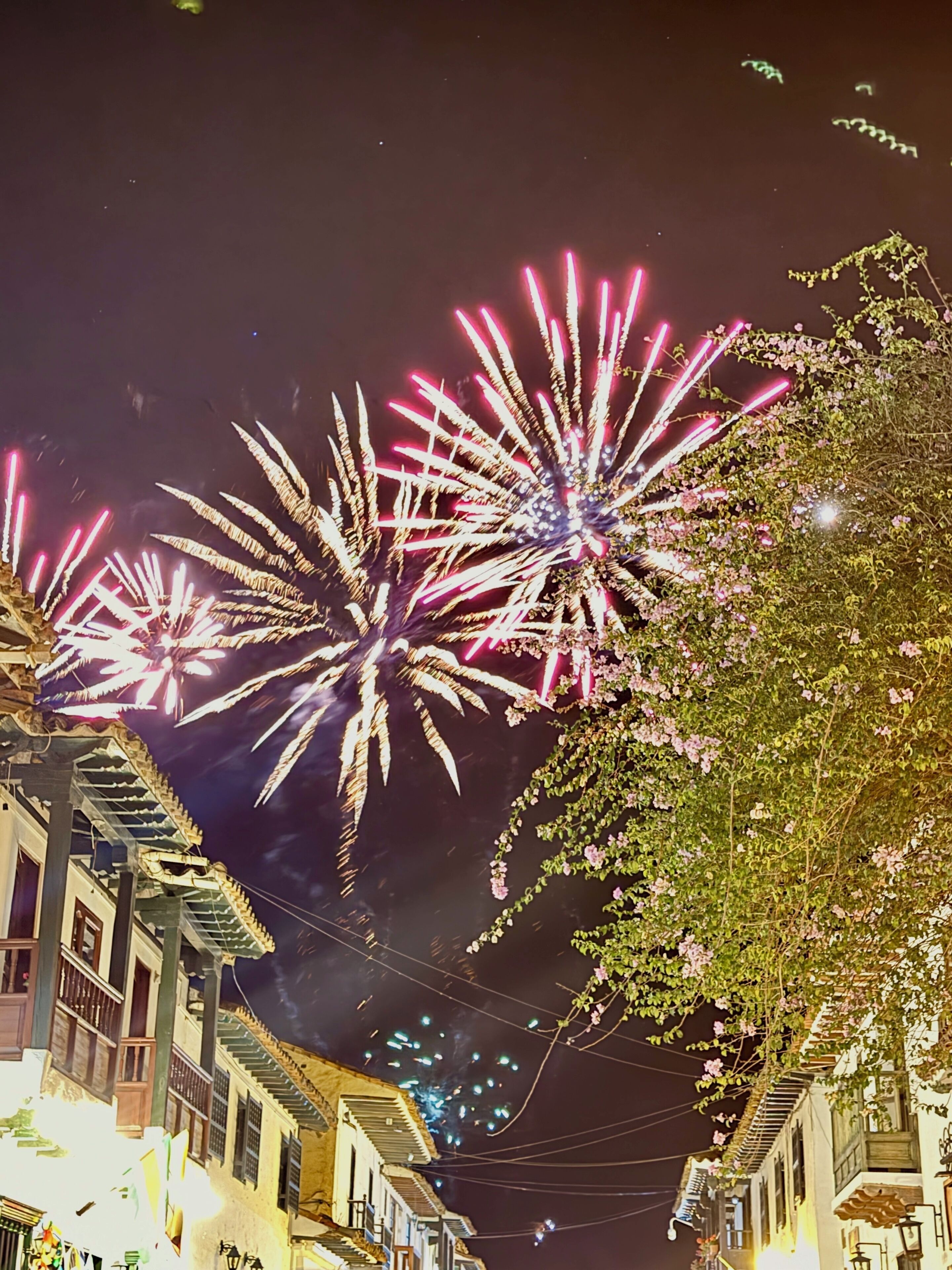 A nighttime scene with fireworks in the sky, buildings with balconies, and a tree with pink flowers.