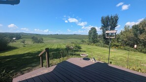 A wooden deck with a view of a grassy landscape, a rustic wooden sign, and a metal lamp post. - Charming 2 BR Country Cottage - Peaceful Weekend Retreat Outside of Galena (Elizabeth)