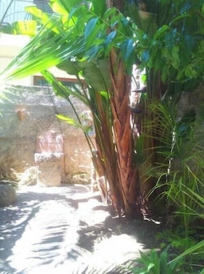 Property grounds - Elegant Art Nouveau-style villa with a beautiful garden in Tropea, near the beach (Tropea)