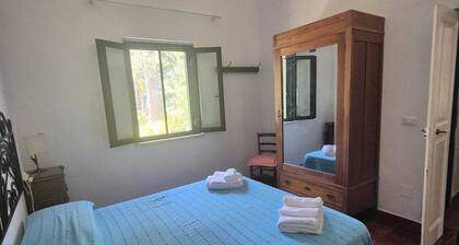 A Wonderful Villa Surrounded by Lush Greenery, Peacefully Located Near the Beach