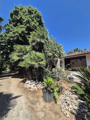A residential property with a large tree, a stone wall, and a building with a tiled roof.