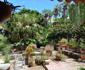 A garden with various potted plants and a metal chair.