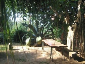 An outdoor setting with a wooden table and benches, surrounded by dense foliage and trees.