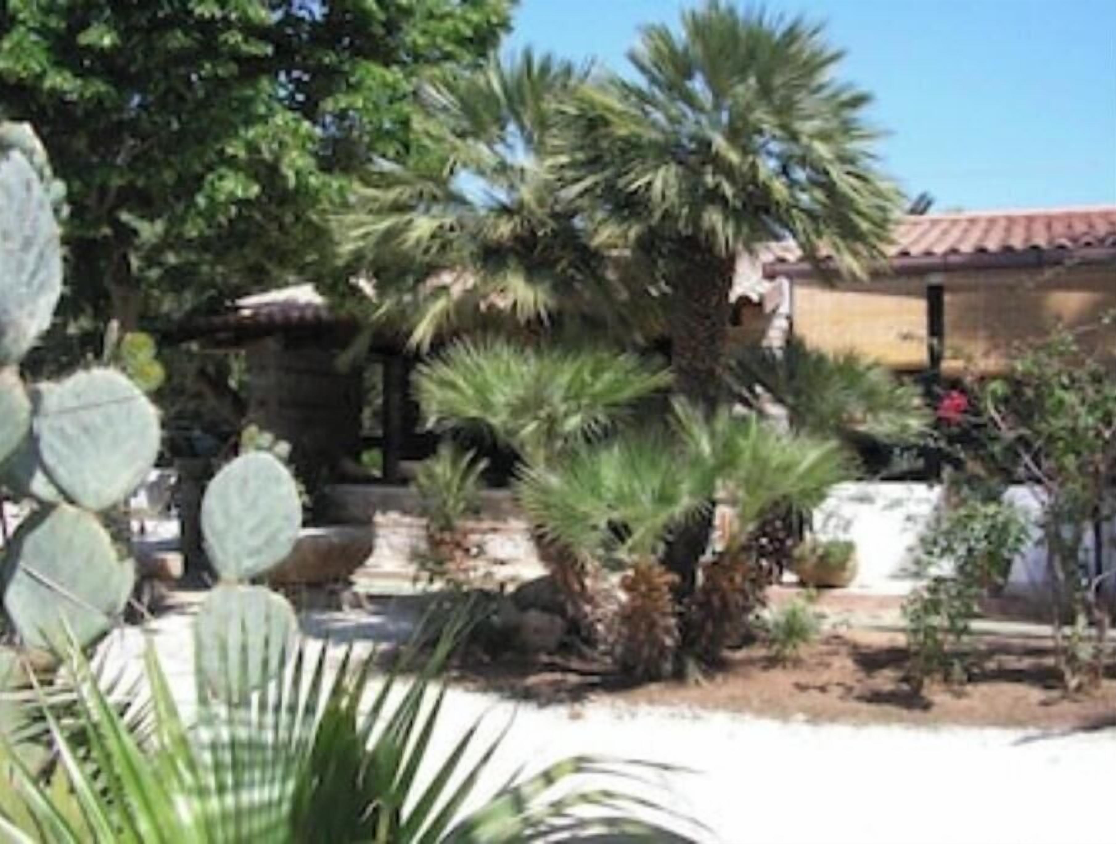 A garden with various plants including cacti and palm trees, a stone wall, and a building with a tiled roof in the background.
