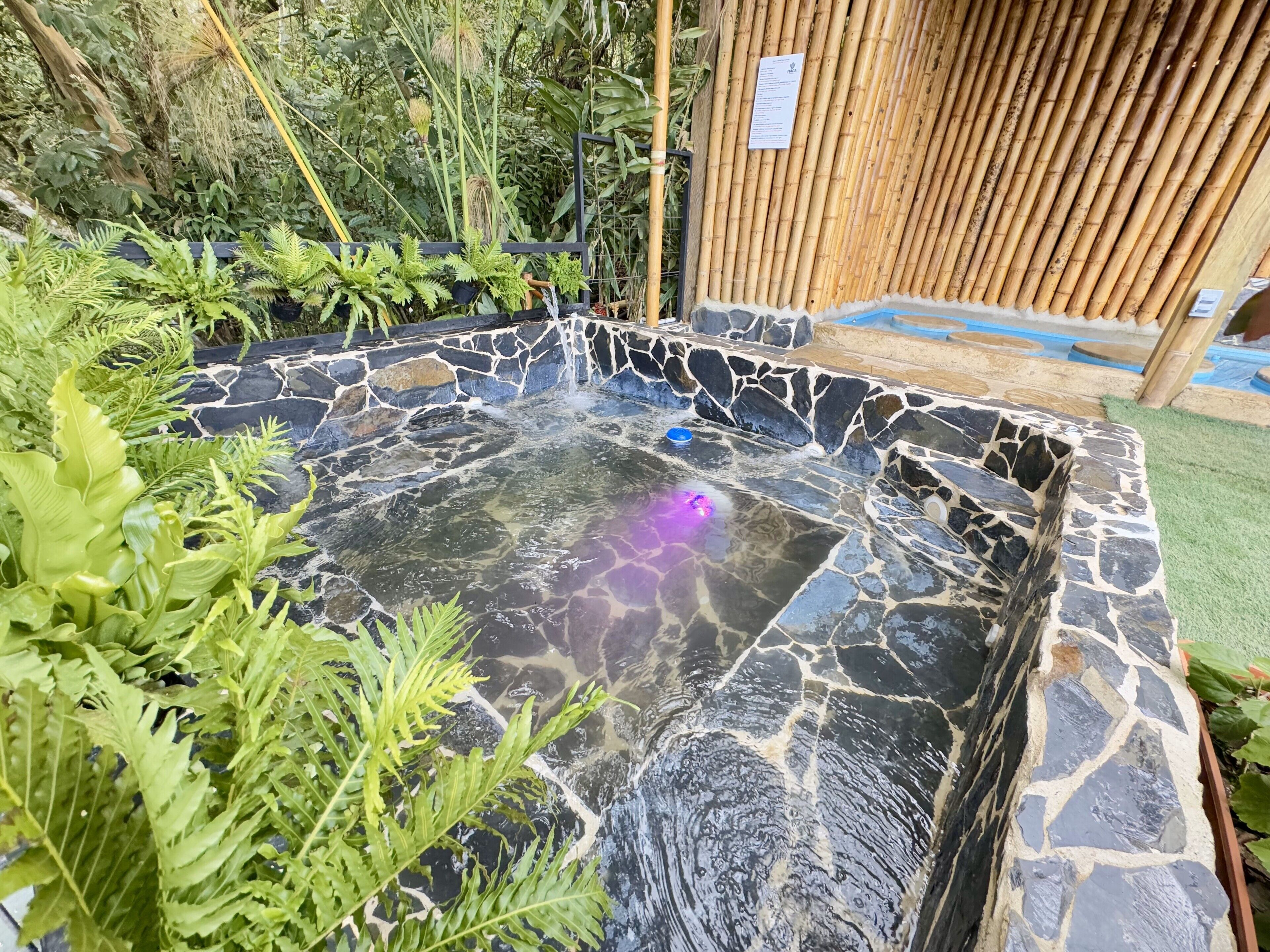 Un jacuzzi rodeado de vegetación y muros de piedra.
