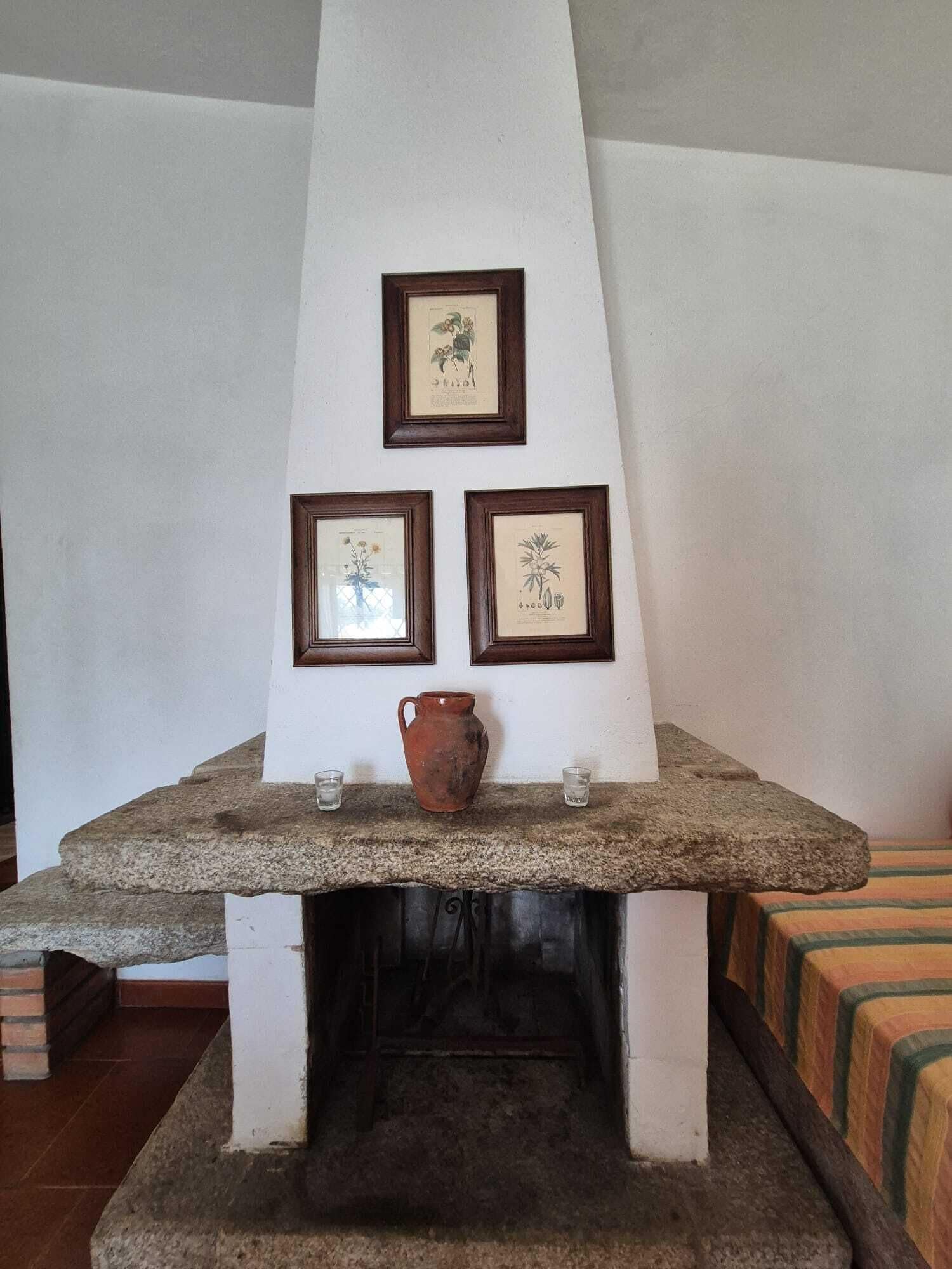 Una chimenea con tres láminas botánicas enmarcadas sobre ella.