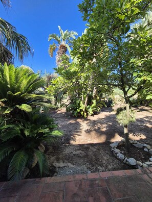 A garden with various plants and a paved path. - Wonderful Villa Surrounded by Lush Greenery - Peaceful Location Near the Beach (Calabria)