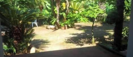 Un espacio al aire libre con un camino pavimentado, rodeado de plantas y árboles.