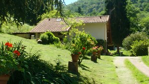 A house with a tiled roof, surrounded by greenery and a dirt path.