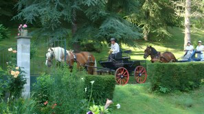 A carriage with horses in a garden setting. - Holiday Home 'Gite Des Carcis' with Mountain View, Private Terrace and Wi-Fi (Ganac)
