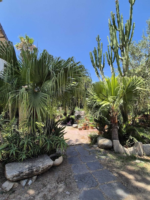 Jardines del alojamiento