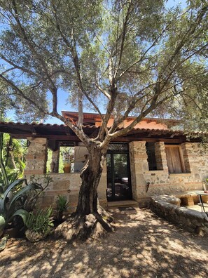 A rustic stone building with a large tree in front, a metal gate, and a small patio area.