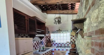A wonderful villa surrounded by lush greenery, peacefully located near the beach