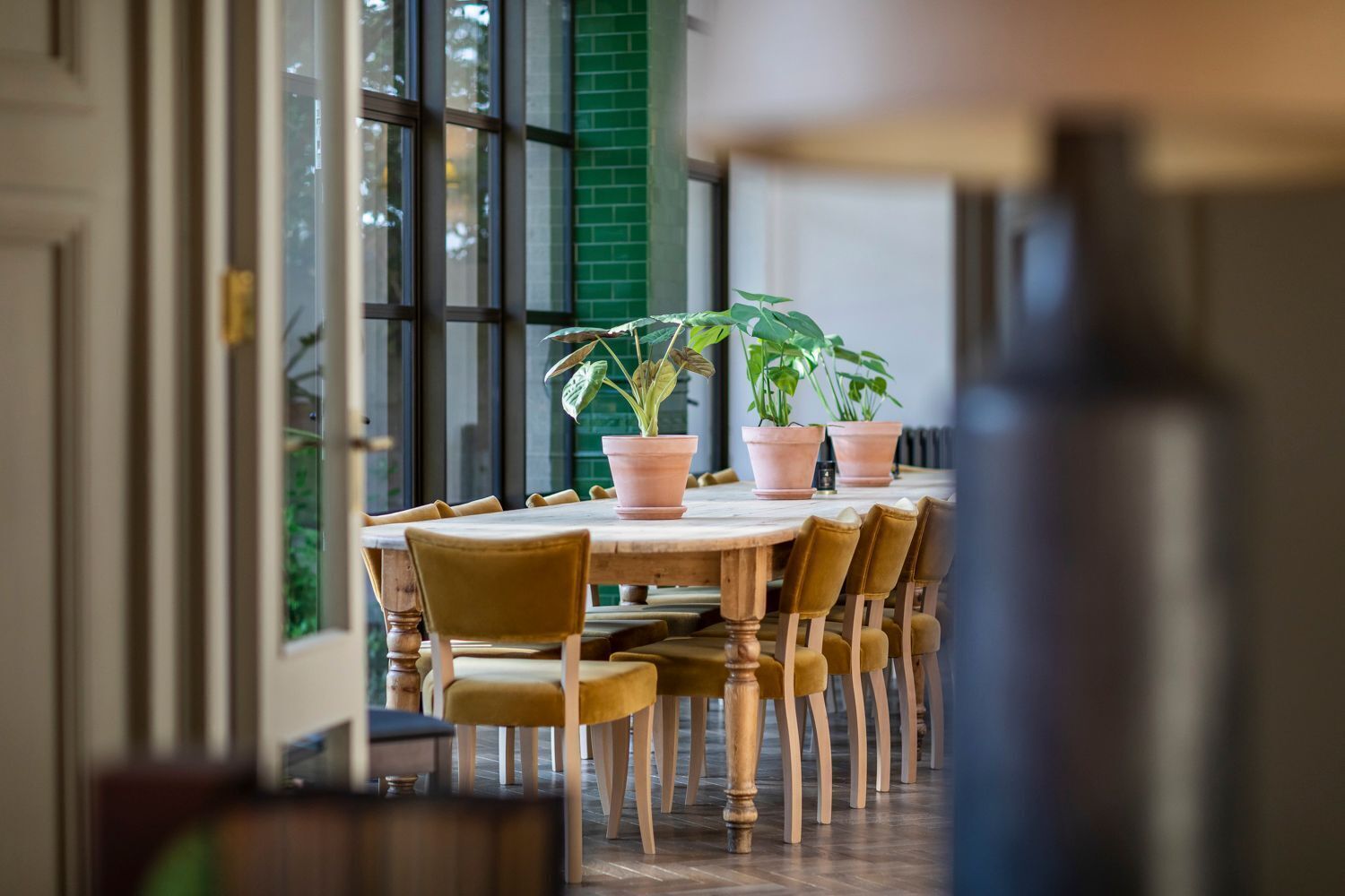 A dining area with a round table, multiple chairs, and potted plants.