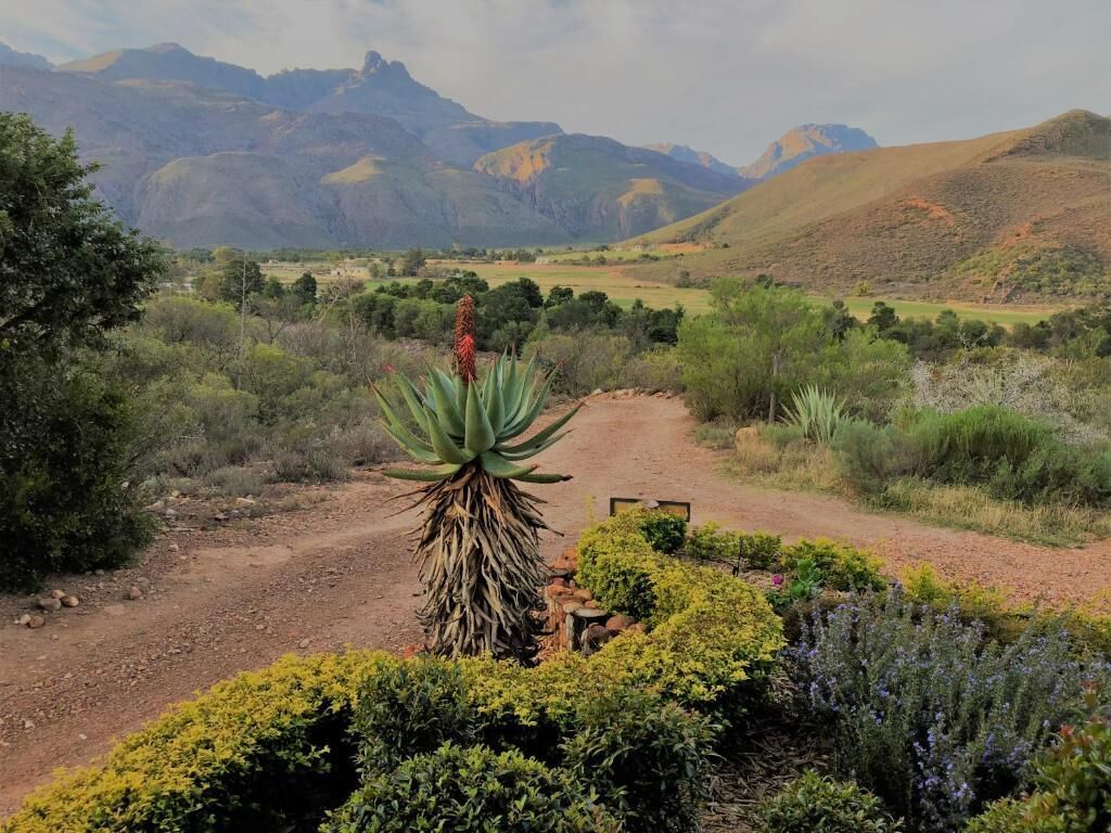 Un sendero de tierra serpentea por un jardín ajardinado con diversas plantas y vistas a montañas distantes.