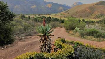 Un sendero de tierra serpentea por un jardín ajardinado con diversas plantas y vistas a montañas distantes.