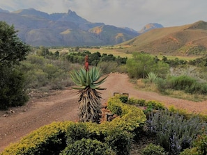 Un sendero de tierra serpentea por un jardín ajardinado con diversas plantas y vistas a montañas distantes.