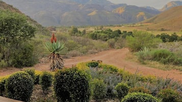 Casa de campo de lujo, vista a la montaña | Áreas de la propiedad