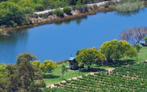 A lakeside property with a small building, a vineyard, and a boat dock. - Oaksrest Vineyards Guest Farm (Ladismith)