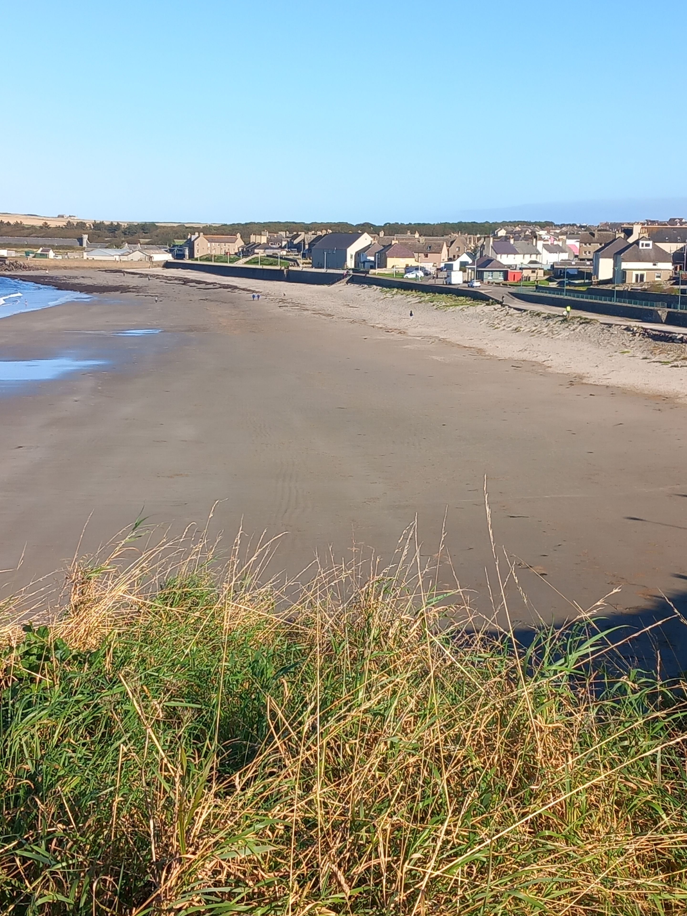 Une plage avec un ciel dégagé, un rivage sablonneux et une rangée de maisons en arrière-plan.