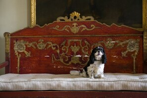 A dog sitting on a bed with a decorative headboard. - Lostwithiel House - Three Bedroom Villa, Sleeps 6 (Boconnoc)