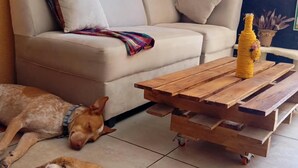 A living room with a sofa, a wooden coffee table, and two dogs lying on the floor.