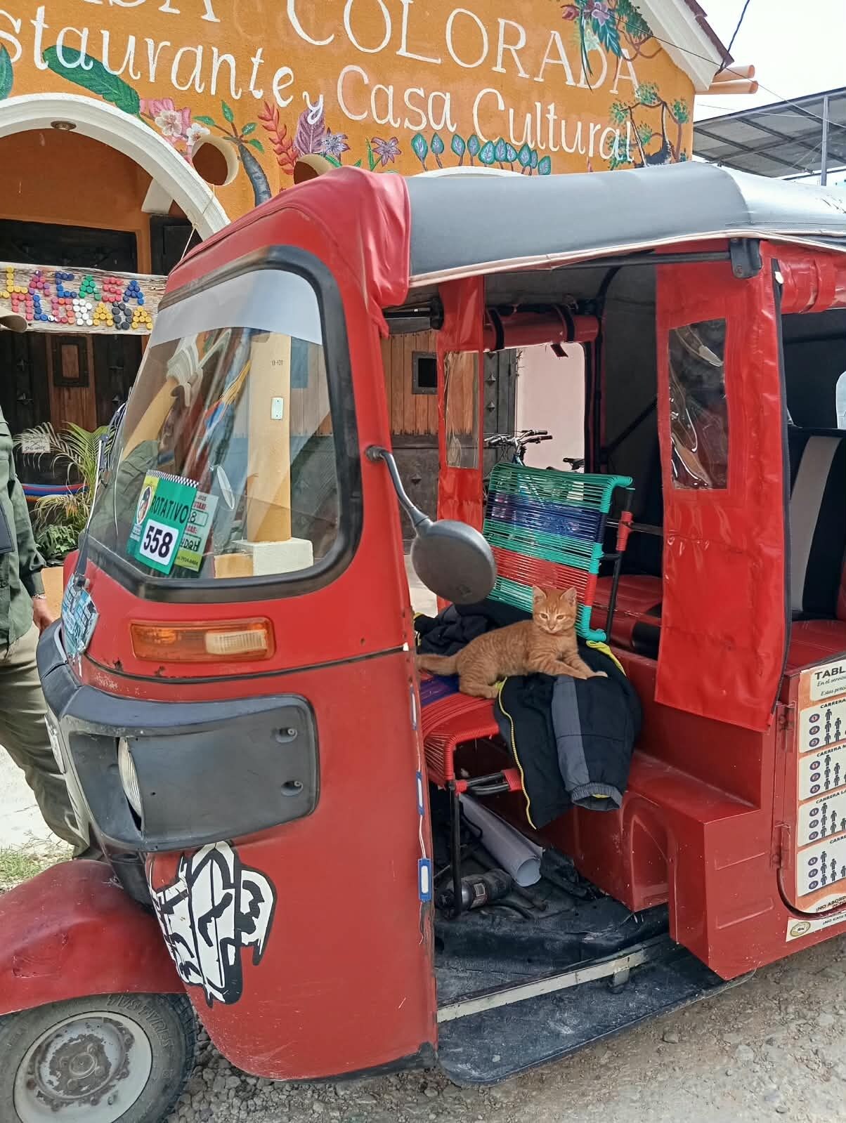 Un tuk-tuk rojo con un gato en su interior, estacionado frente a un edificio colorido con un letrero que dice 'COLORADA Restaurante Casa Cultural'.