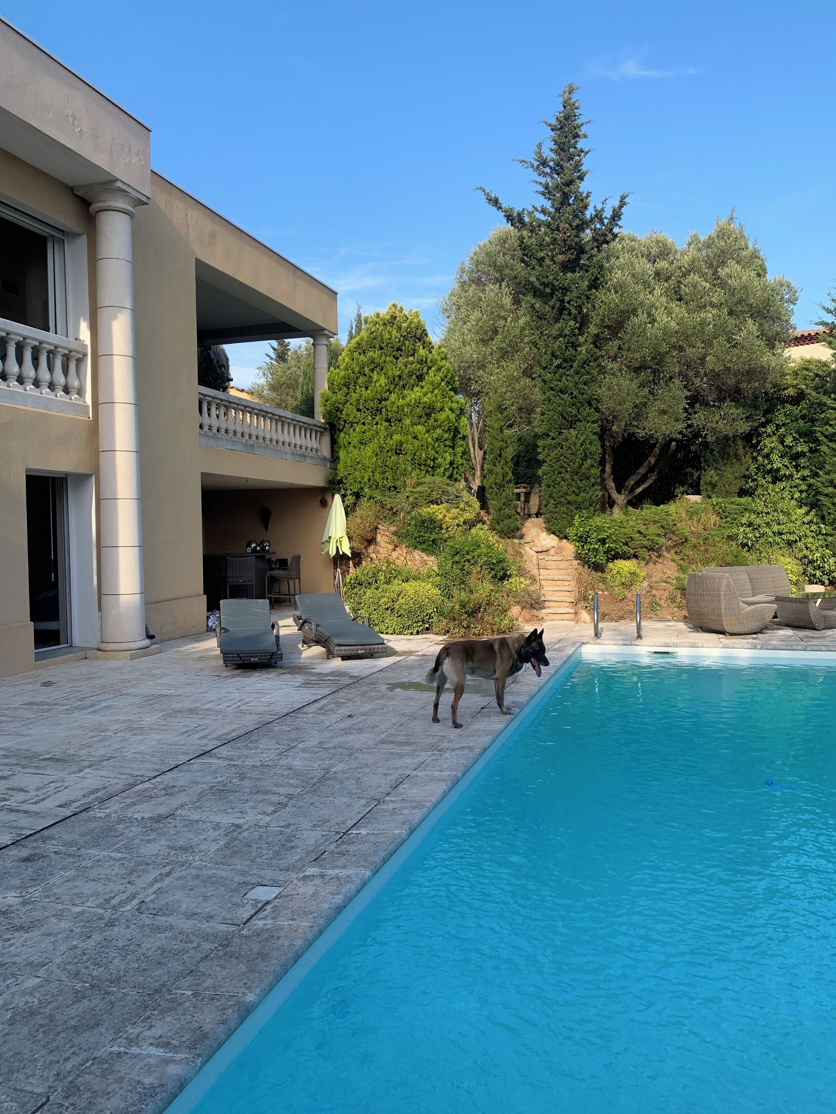 Piscine