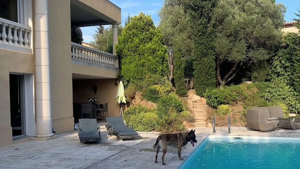 A swimming pool with a dog nearby, a covered patio with outdoor furniture, and a building with a balcony.