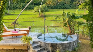A private pool area with a stone deck, lounge chairs, and a view of a lush green landscape with palm trees.