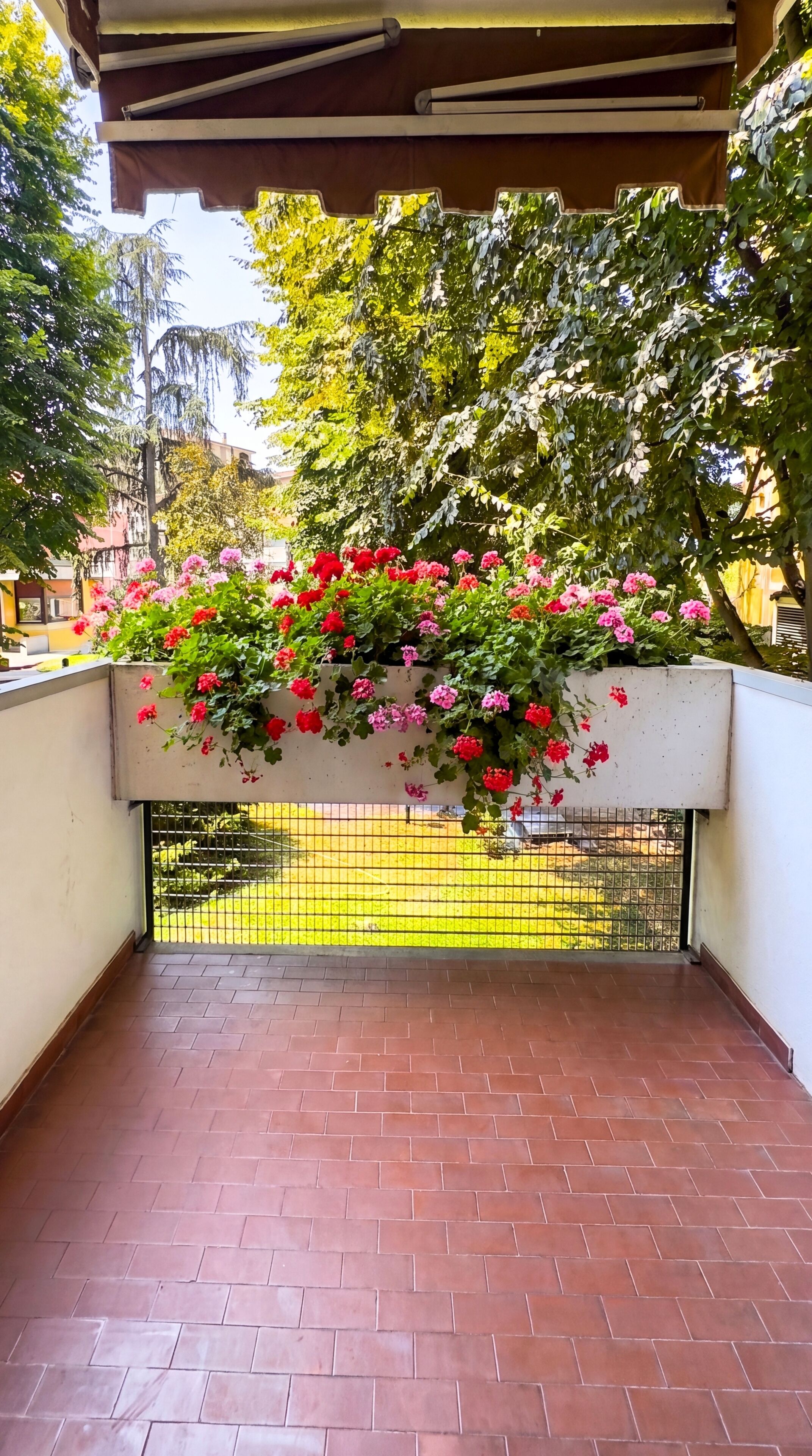 Parco della struttura