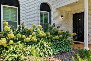 A house with a white brick exterior, a black door, and a garden with hydrangea plants. - Hoover Furnished Stay | Families & Pros (Birmingham)